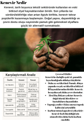 KENEVİRİN MACERASI